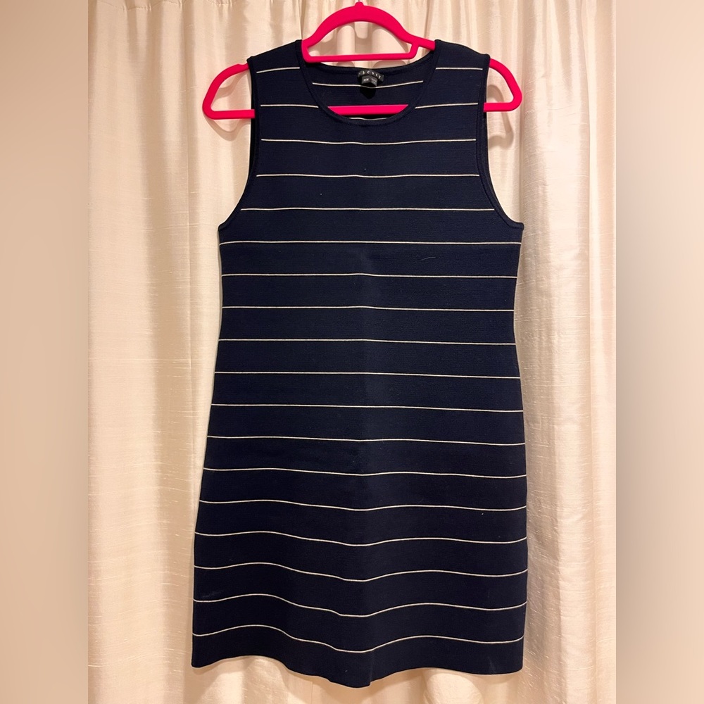 Theory Striped Dress
